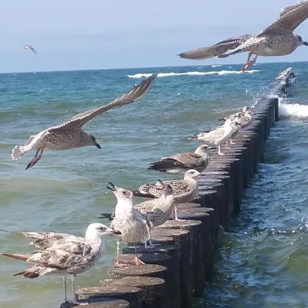 아파트 Royal Maris 6 - Najlepsza Lokalizacja W Ustce, Blisko Plazy I Portu, Bezplatny Parking, Scicsle Centrum *