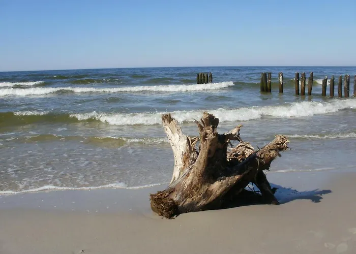 Lägenhet Royal Maris 6 - Najlepsza Lokalizacja W Ustce, Blisko Plazy I Portu, Bezplatny Parking, Scicsle Centrum Ustka